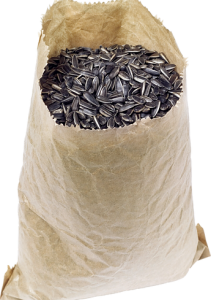 Sunflower seeds PNG-42943